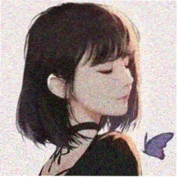 读者半盏灯头像